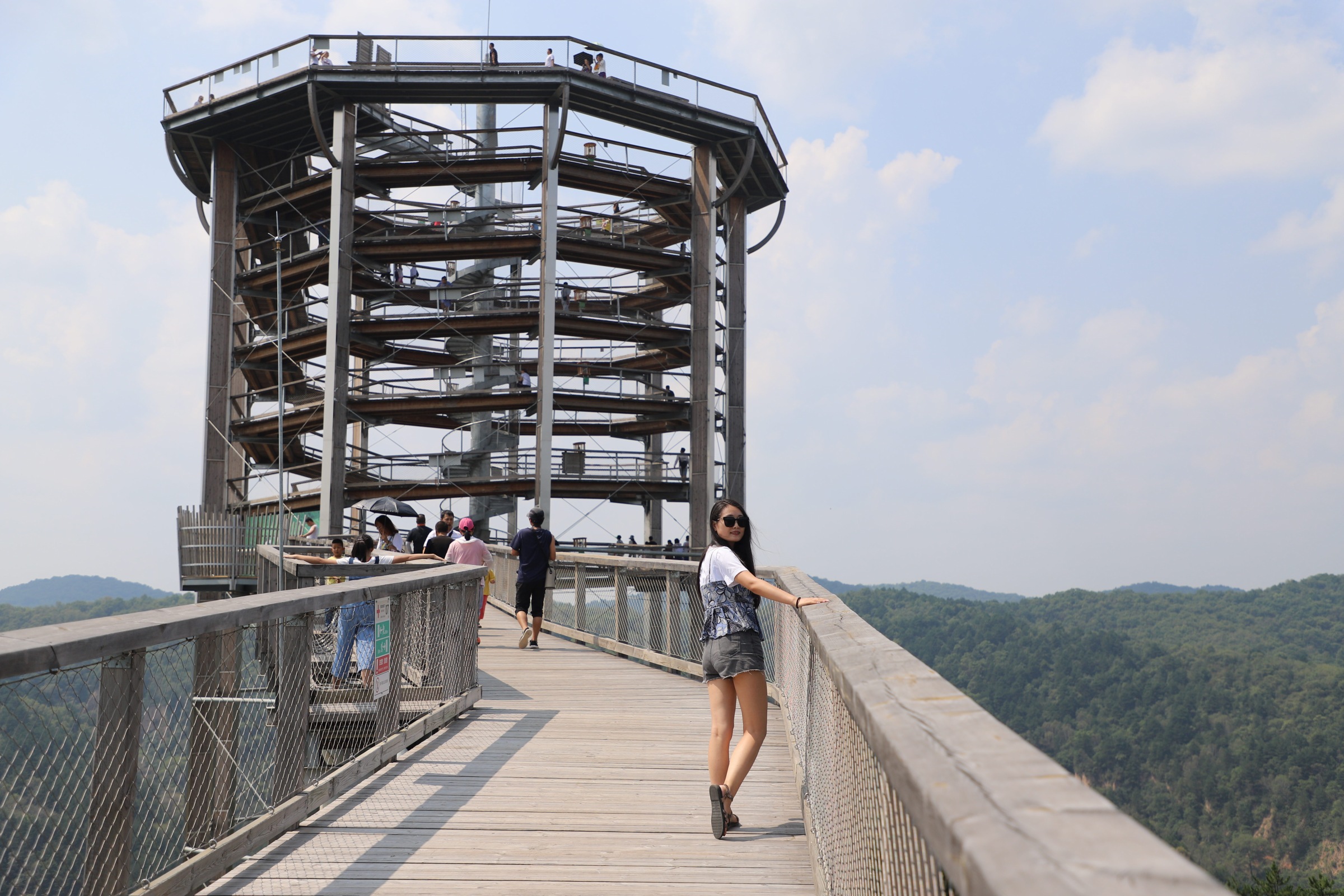 黄龙树顶漫步旅游攻略图片