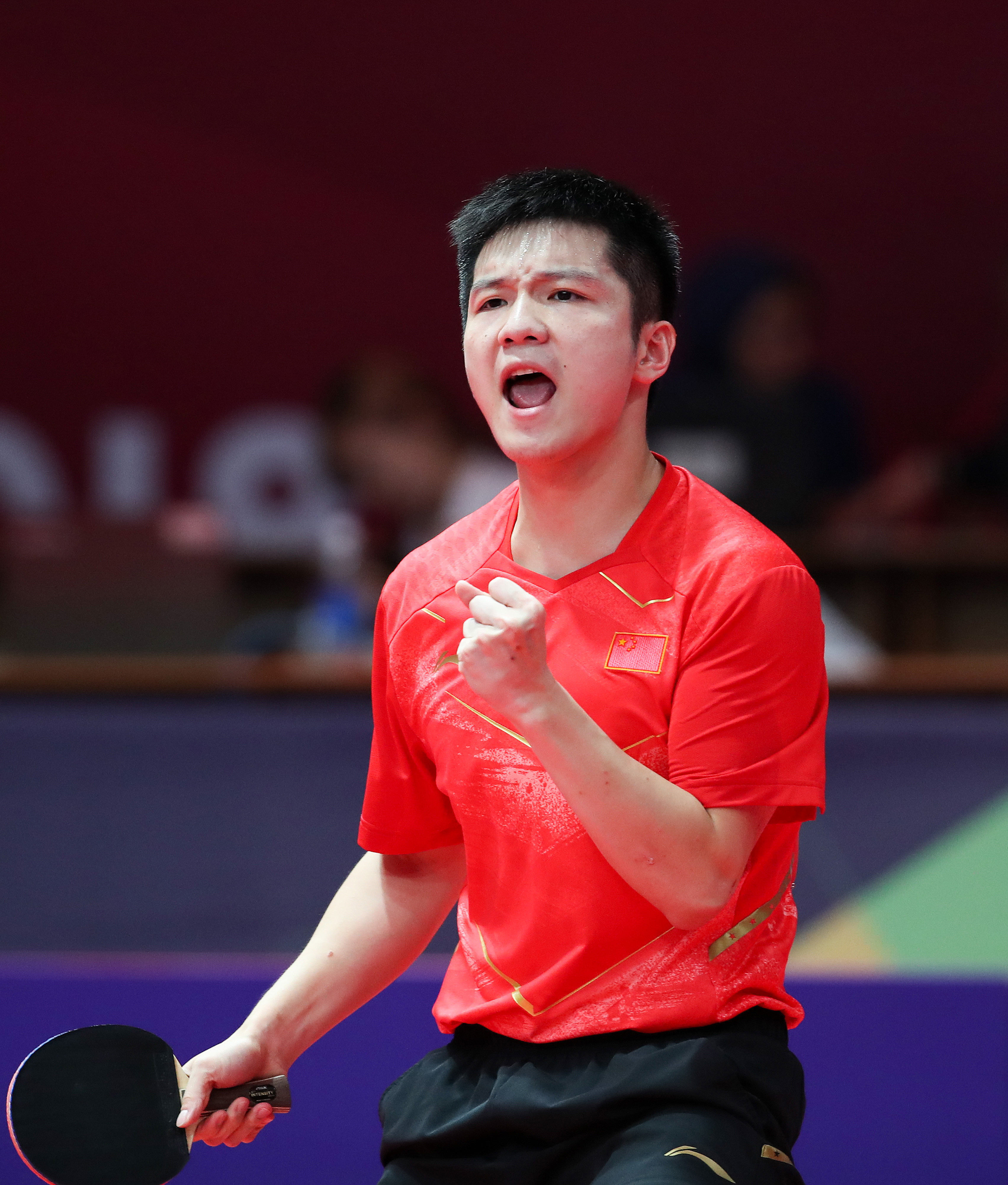 高清图:亚运乒乓男单决赛 樊振东夺冠激情怒吼