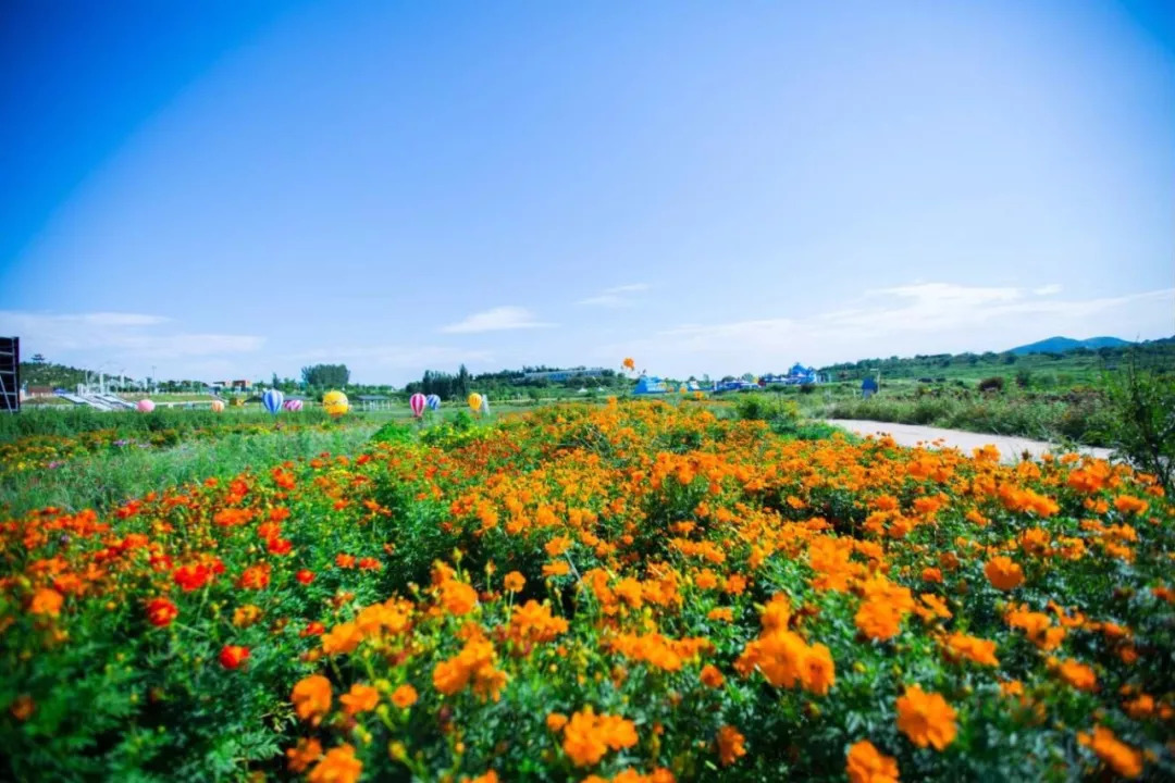 房山看花的地方图片