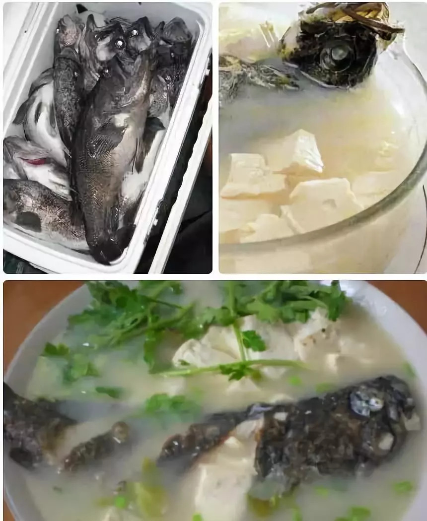 面条鱼炖豆腐图片