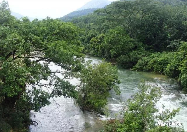 山溪垂钓,这两点特别重要,明白以后,每次都能渔获满满