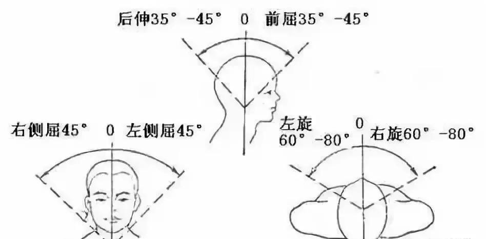 全身关节活动度测量及参考值图解大全快收藏