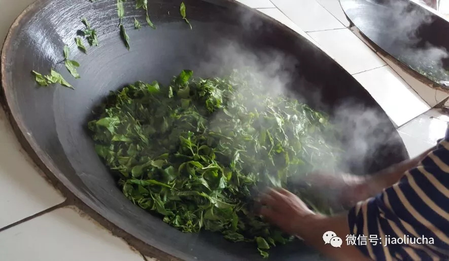 冰岛老寨普洱茶生茶制作过程详解