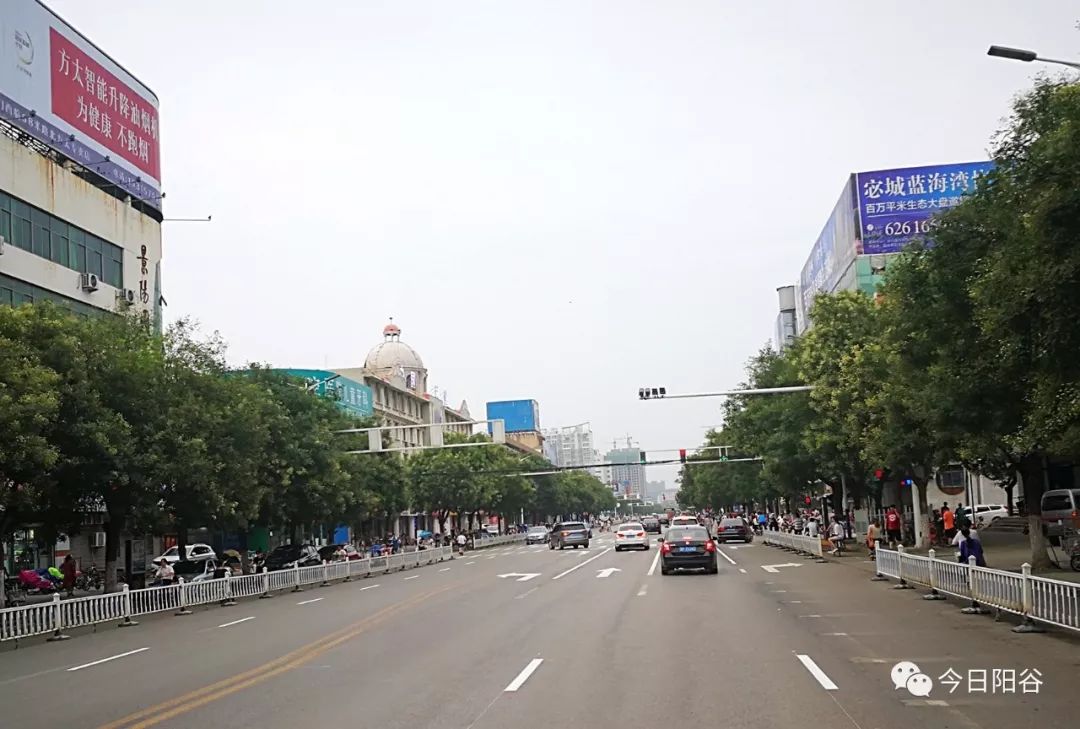 阳谷谷山路北延工程图片