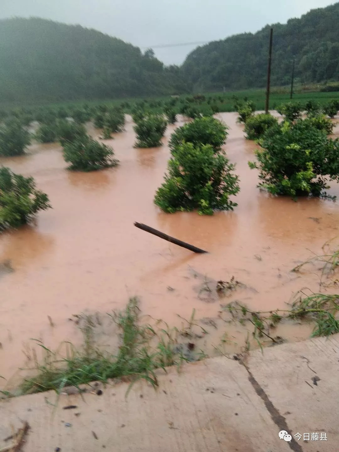 辛苦了大黎鎮特大暴雨24小時降雨量371毫米抗洪救災一線有他們