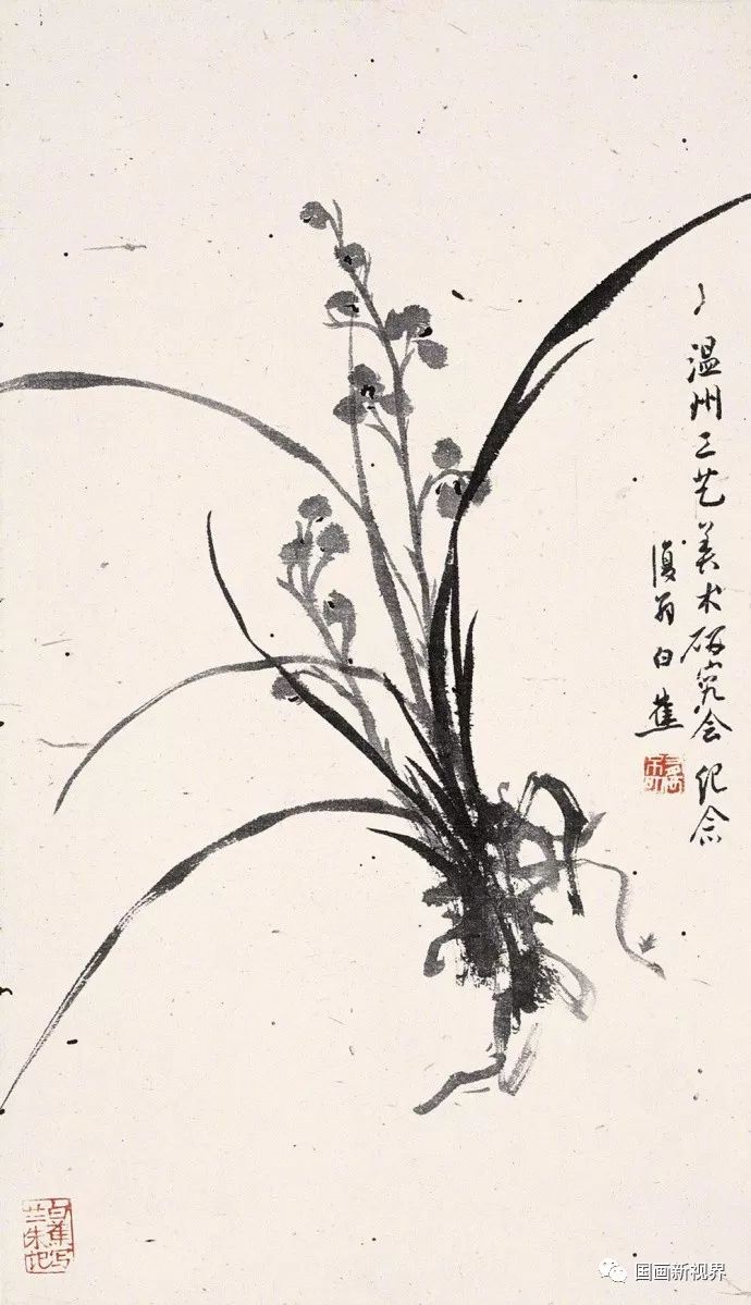 白蕉 兰花