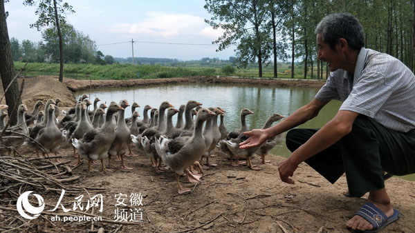 养致富经_致富养娃攻略免费阅读_致富养殖好项目