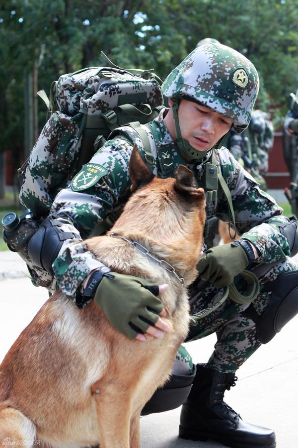 军犬电视剧台湾图片