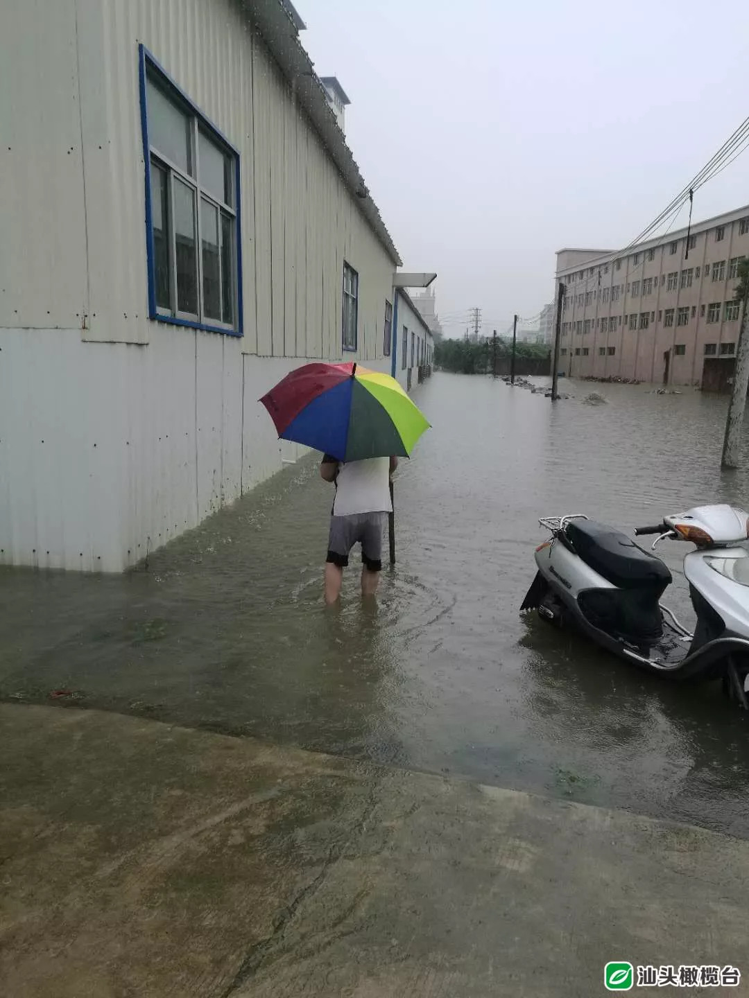 事发地点位于潮南区司马浦镇大布下社区的一处乡间路