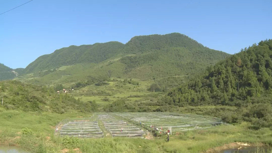 我县艺术摄影家发现丰都乡村美景—包鸾镇云台村之美