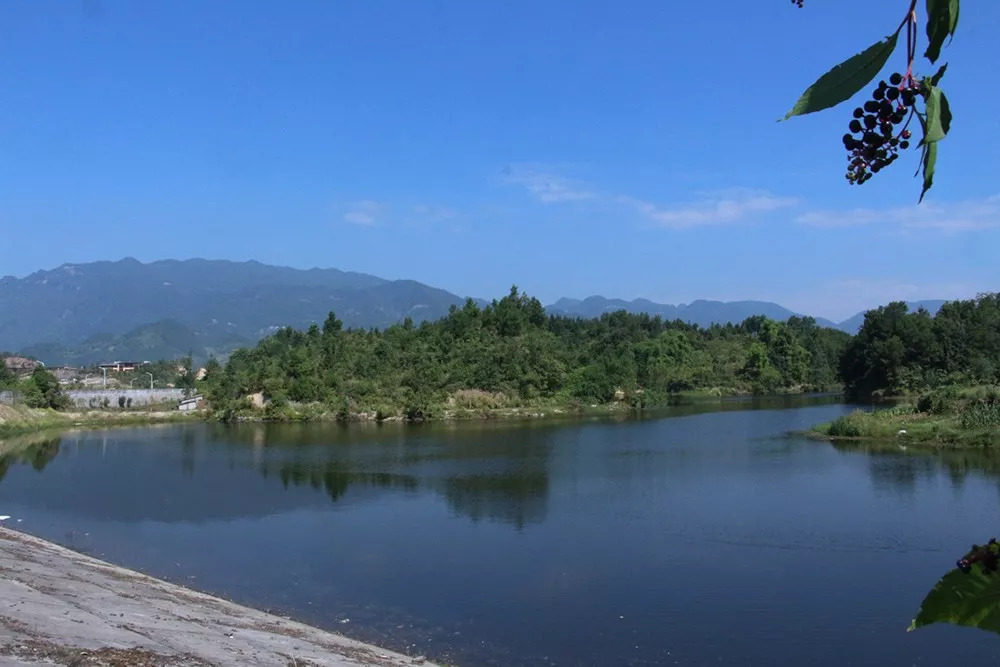 温江金马湖水利风景区图片