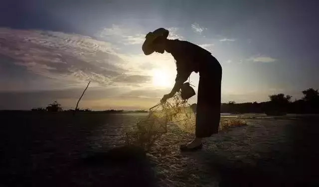 北海咸水歌童谣图片