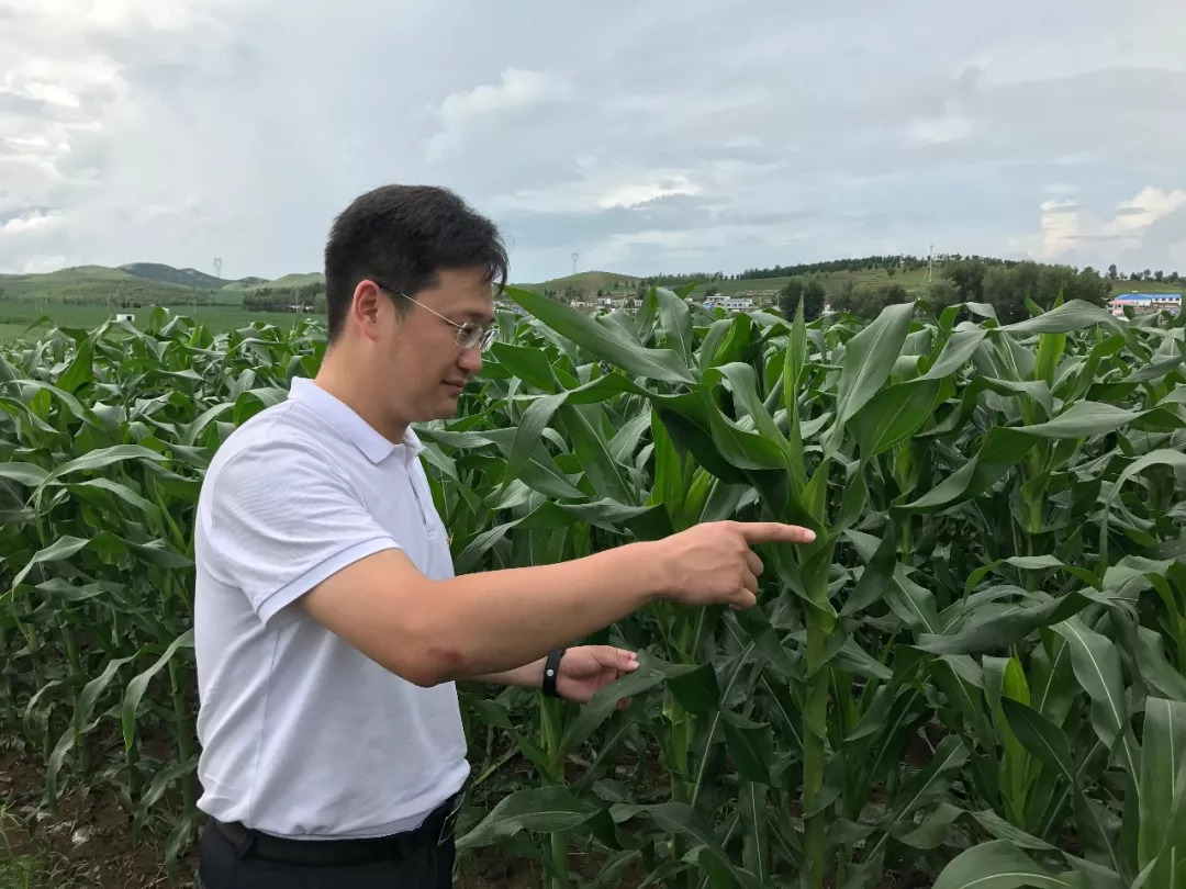 村里来了"博士书记—记前旗科尔沁镇远新村驻村第一书记张骅