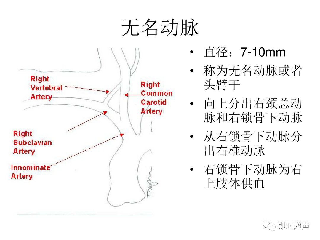 頸部血管超聲正常解剖及常見病的超聲診斷標準