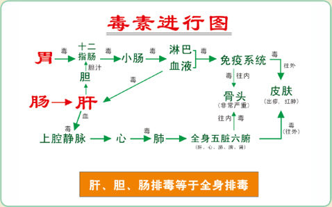 身边深藏不漏的毒素,你再不及时排就晚了!