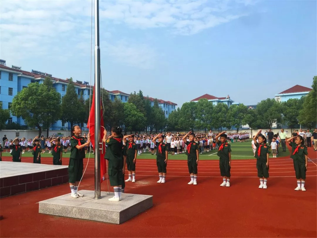 亭林小学漕泾小学吕巷小学枫泾小学朱行小学金蔷薇幼儿园宏阳幼儿园