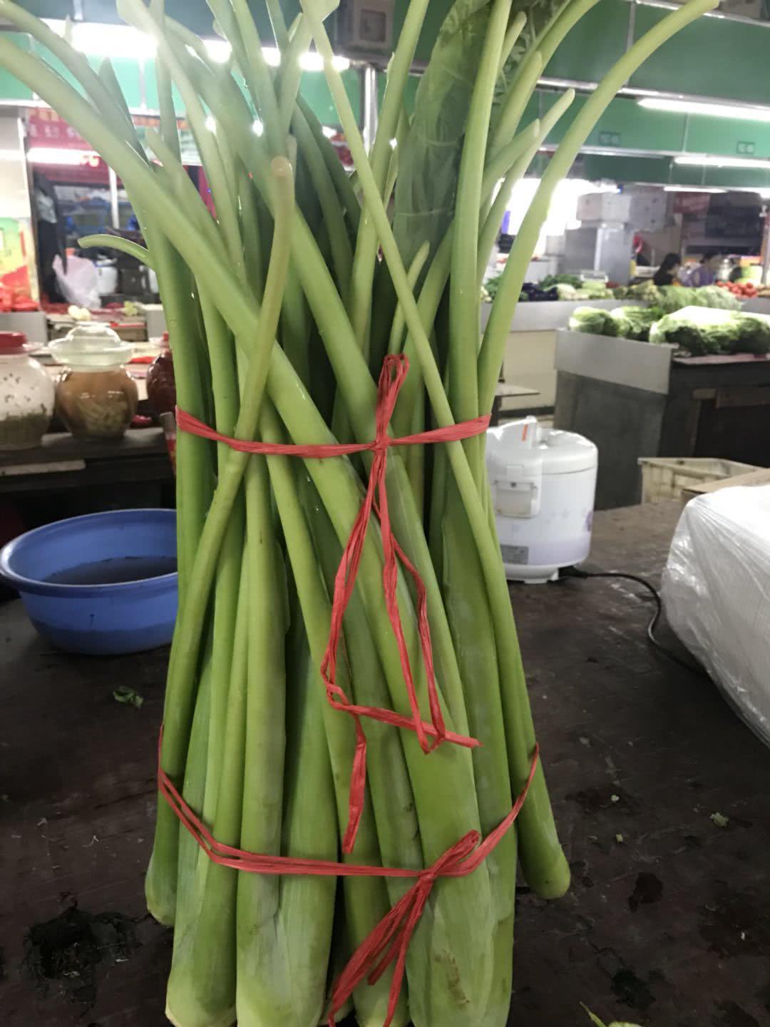 广荷菜图片