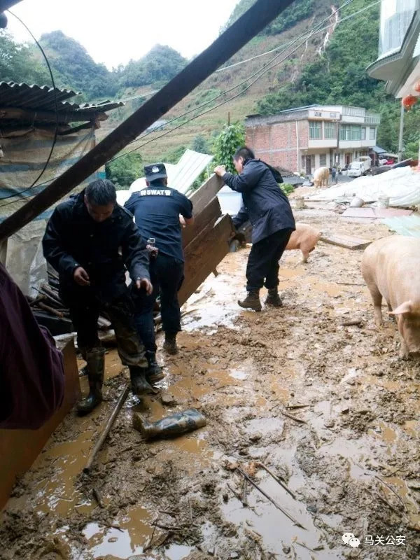 马关9月1日晚来,受持续强降雨影响,文山州马关,广南,麻栗坡,西畴,富宁