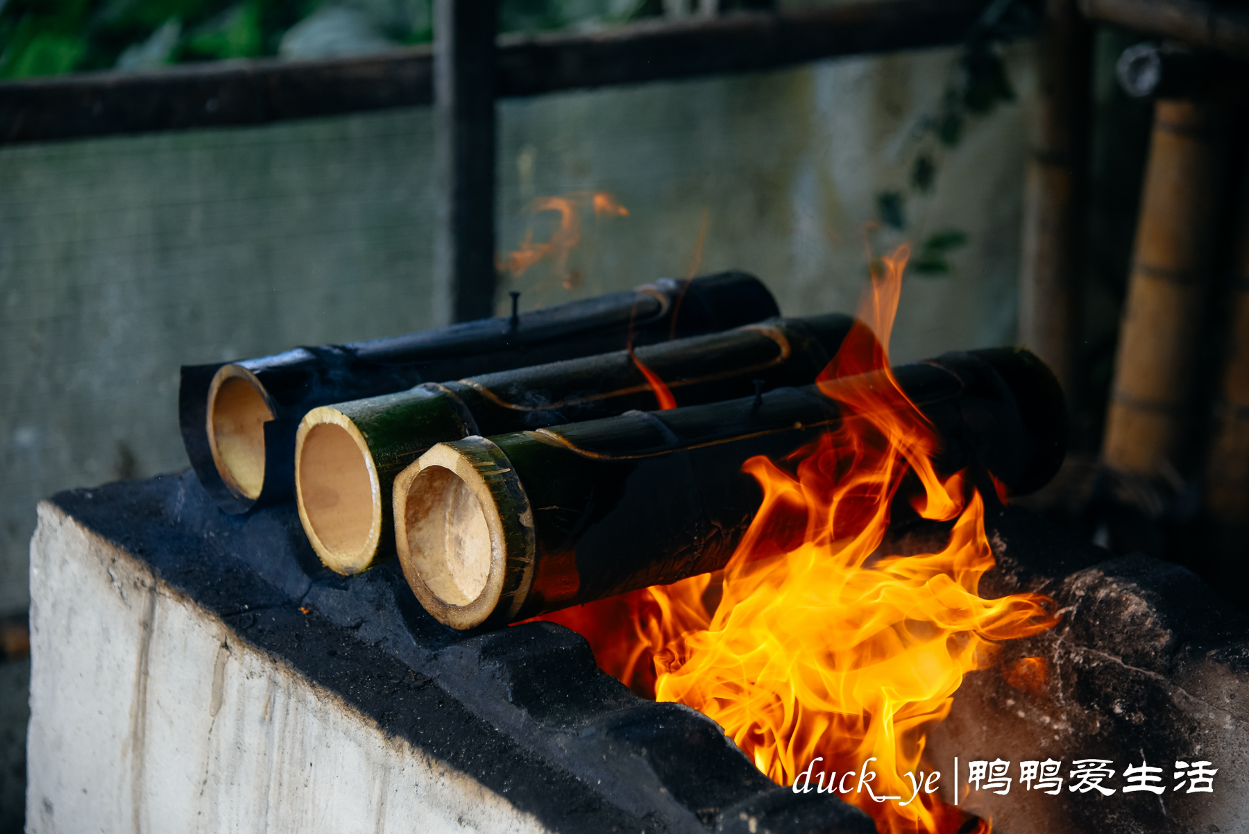 竹節用來當鍋具,30分鐘後烤出來的米飯居然這麼香!_竹子