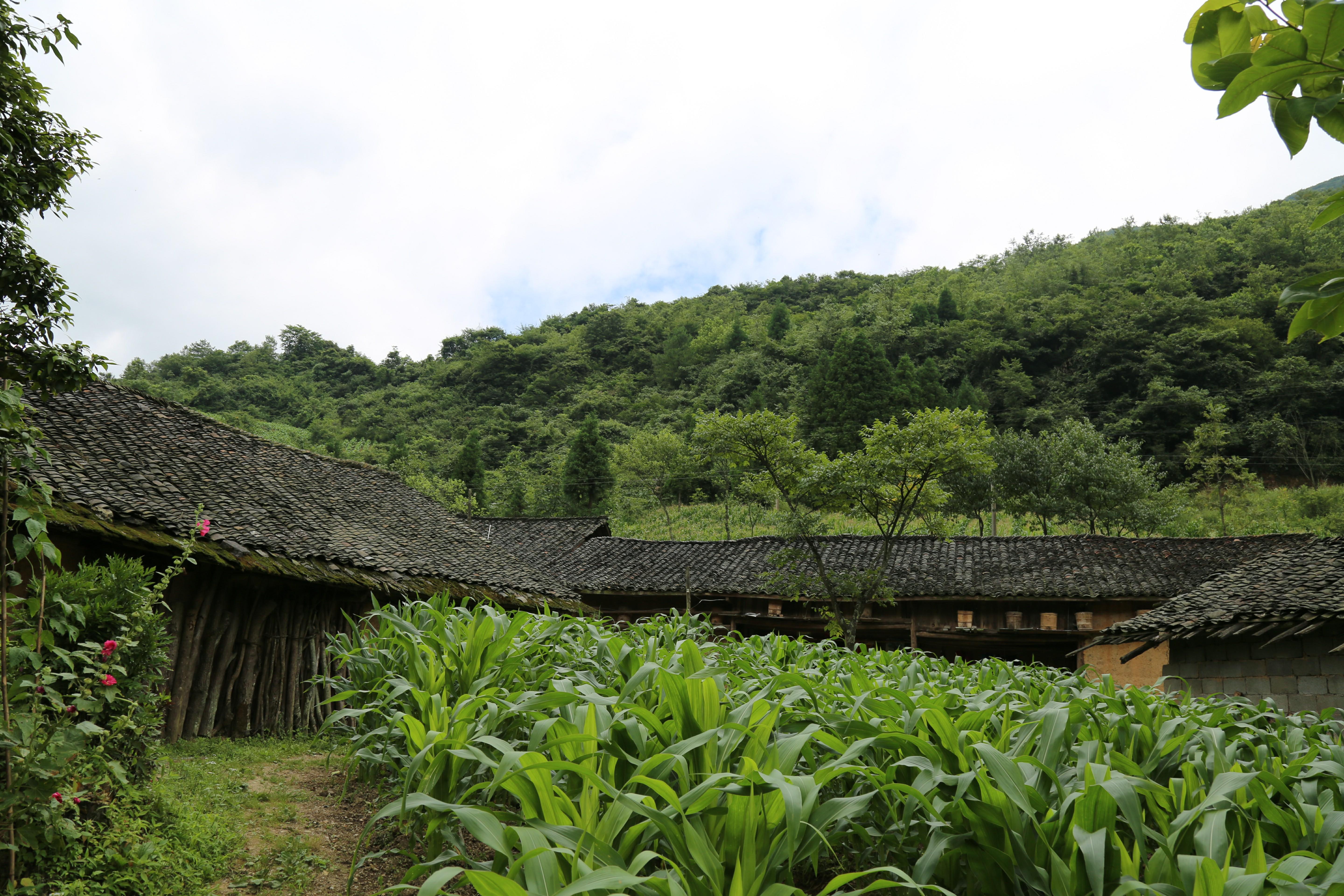 云南贫困山区 山村图片