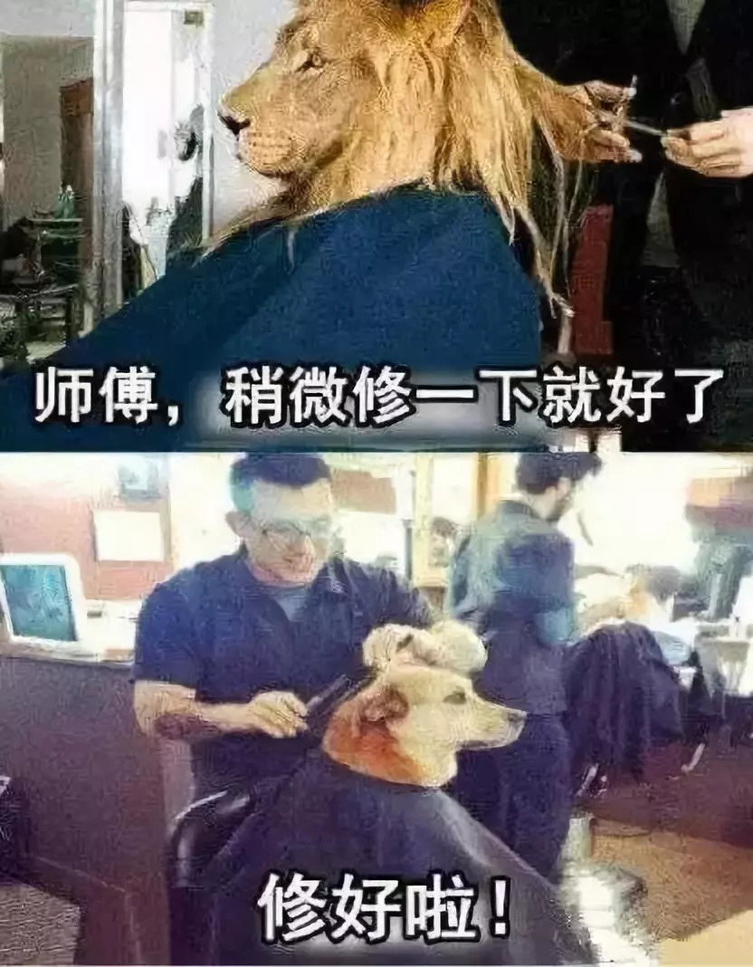 帽子去毕竟你永远猜不到自己从理发店出来会是哪一种丑法你可能还想看