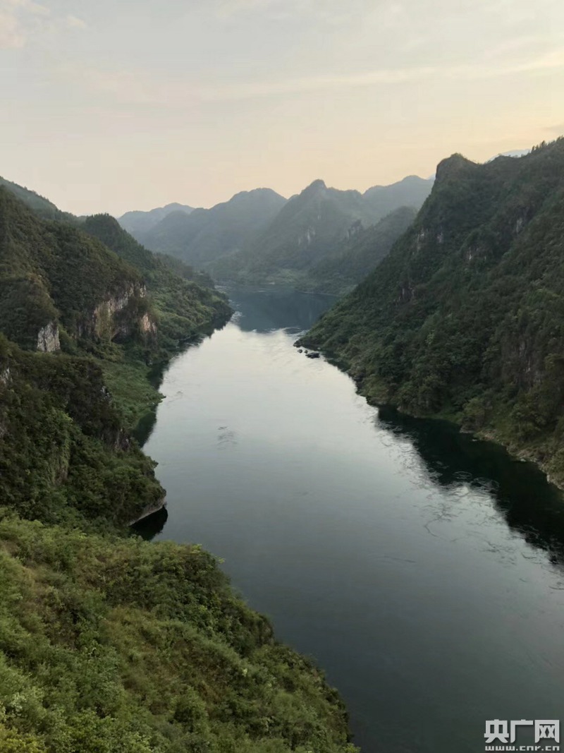 大江奔流 一江碧水 两岸青山奏响新时代长江生态保护最强音 发展