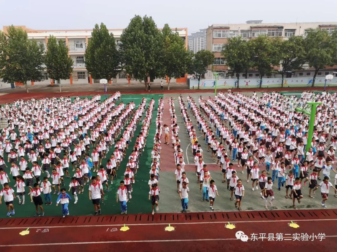 东平县小学划片示意图图片