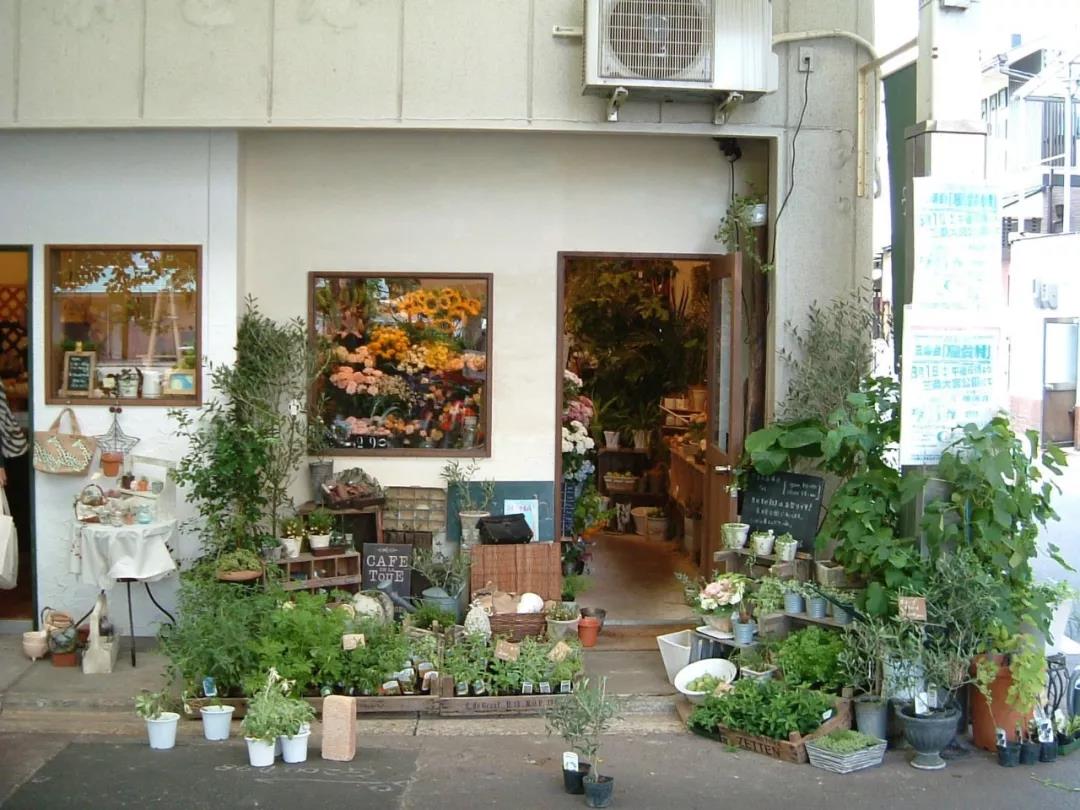 花店经营 日本 一场花店之旅 花卉