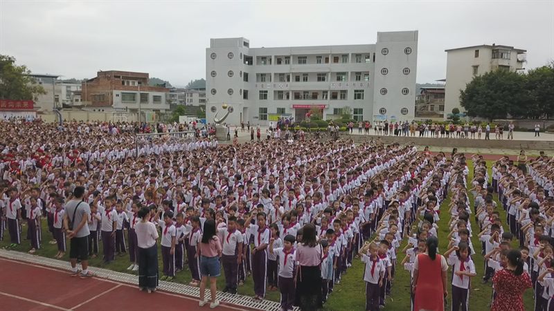 泰州大浦小学图片图片