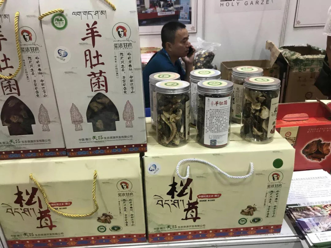 雅江资讯图片展回顾天保工程二十载还有雅江松茸唐山行别错过