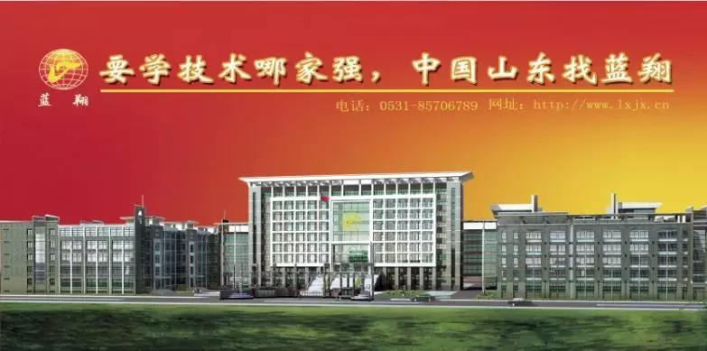 要学技术哪家强,中国山东找蓝翔