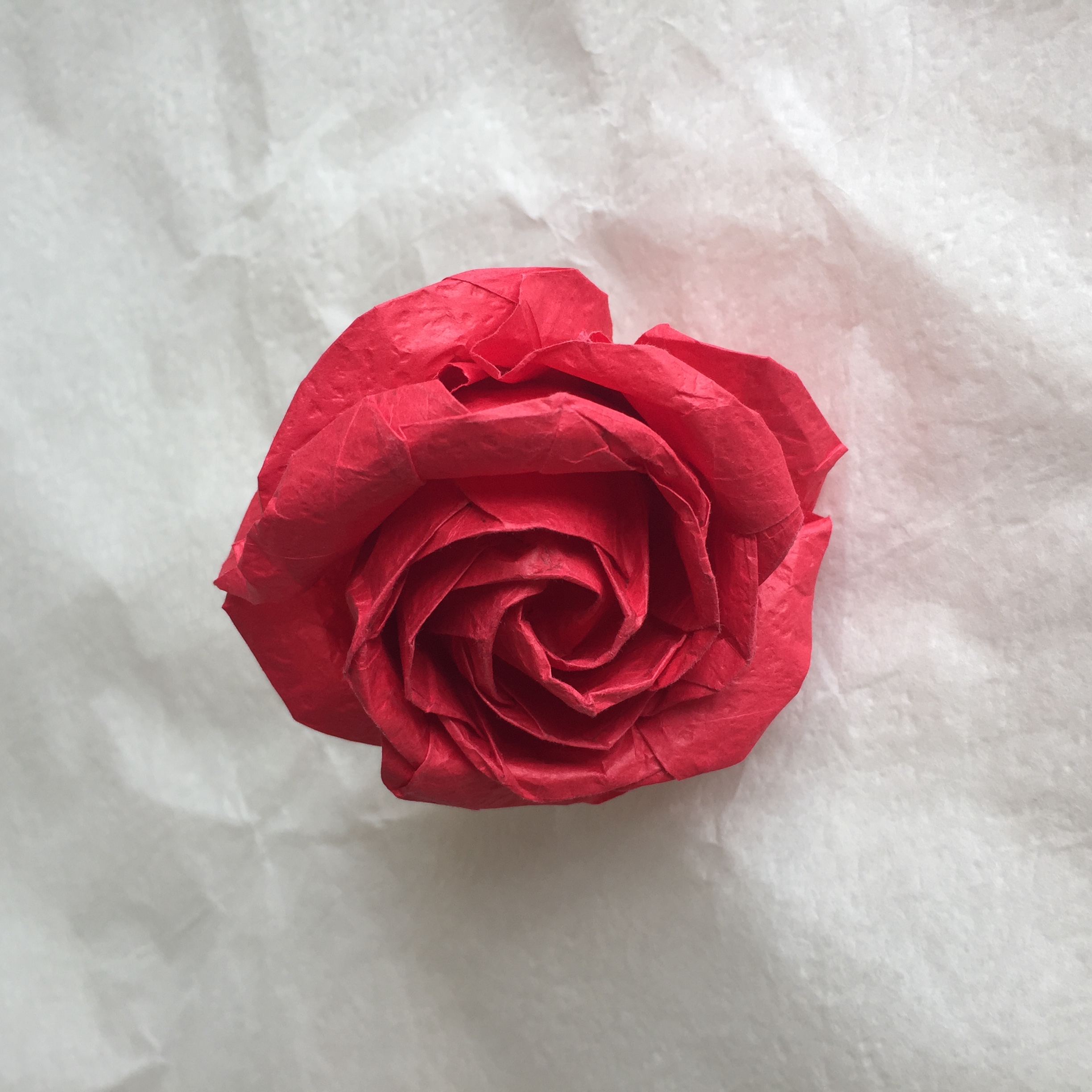酒杯玫瑰折纸 太美了 震撼到我了