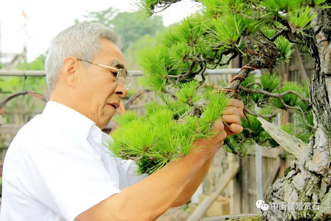 看黄敖训如何改作赤松深山鹤翁诞生记