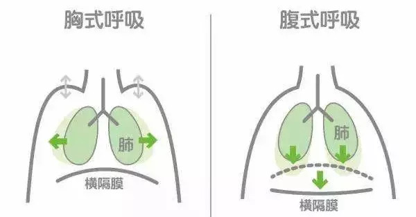 胸腹联合呼吸法要领图片