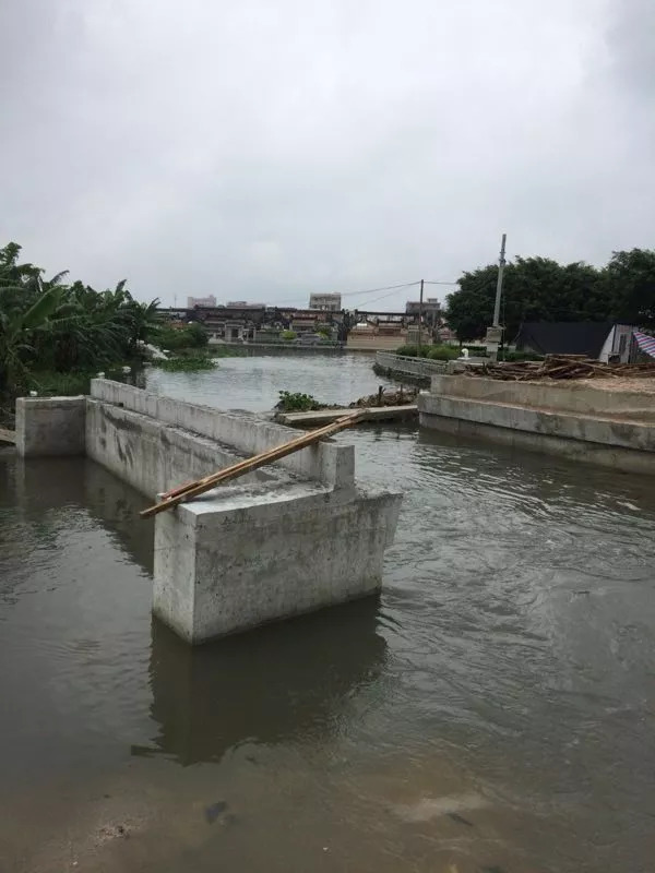 和平镇半港乡私建路桥填窄河口已经严重影响中港河排洪了上游人口几十