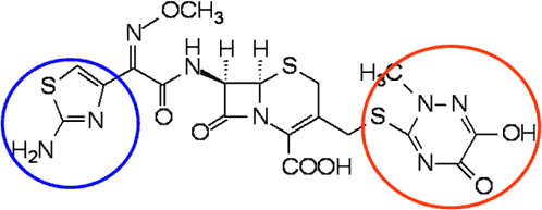 三唑酮结构式图片