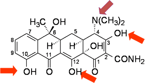 烯醇羟基,羰基与多种金属螯合生成不溶性有色络合物钙离子,四环素牙