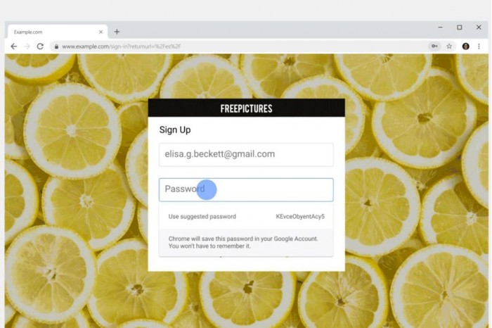 初探Chrome 69：密码管理功能摆脱使用相同密码的尴尬