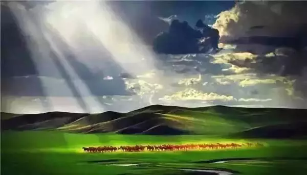 內蒙古有九大草原，你都知道是哪裡嗎？你去過幾個？ 旅行 第1張