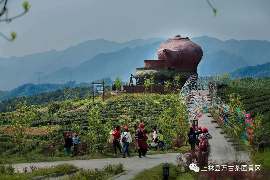 【會員福利】139元-馬山弄拉,上林大龍湖,蓮音寺,萬古茶園二日遊