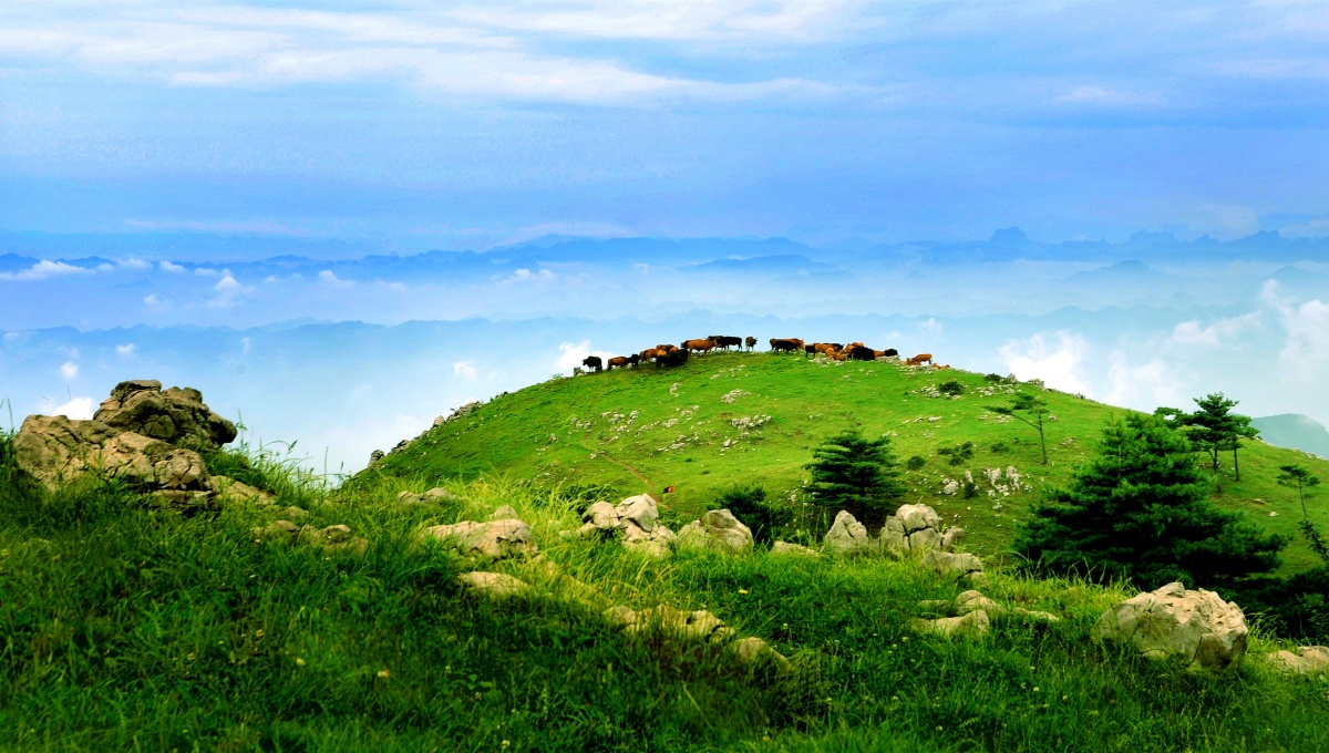 宜昌百里荒草原风景区图片