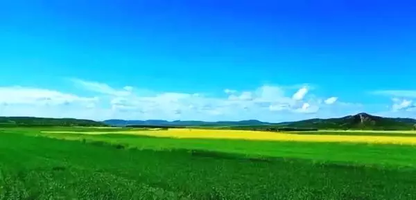 內蒙古有九大草原，你都知道是哪裡嗎？你去過幾個？ 旅行 第10張