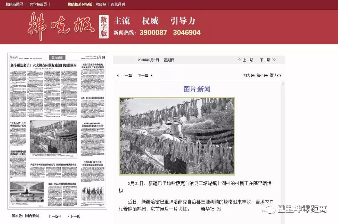 8月31拍摄的《新疆哈密:三塘湖辣椒火红丰收》新闻稿登上了《西藏日报