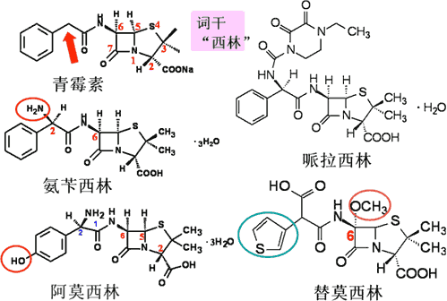 药物化学丨抗生素