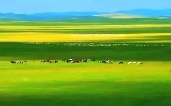 內蒙古有九大草原，你都知道是哪裡嗎？你去過幾個？ 旅行 第9張
