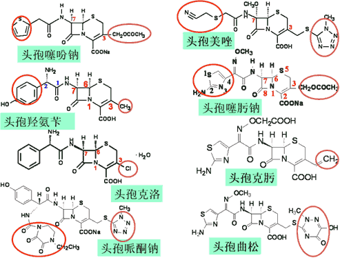 内酰胺环的结构式图片