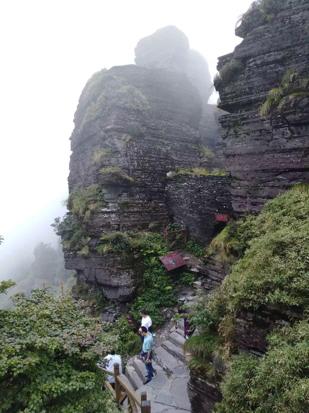 梵净山棉絮岭图片