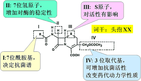 對酸穩定,可口服,毒性小,與青黴素少交叉過敏二,頭孢菌素及半合成頭孢