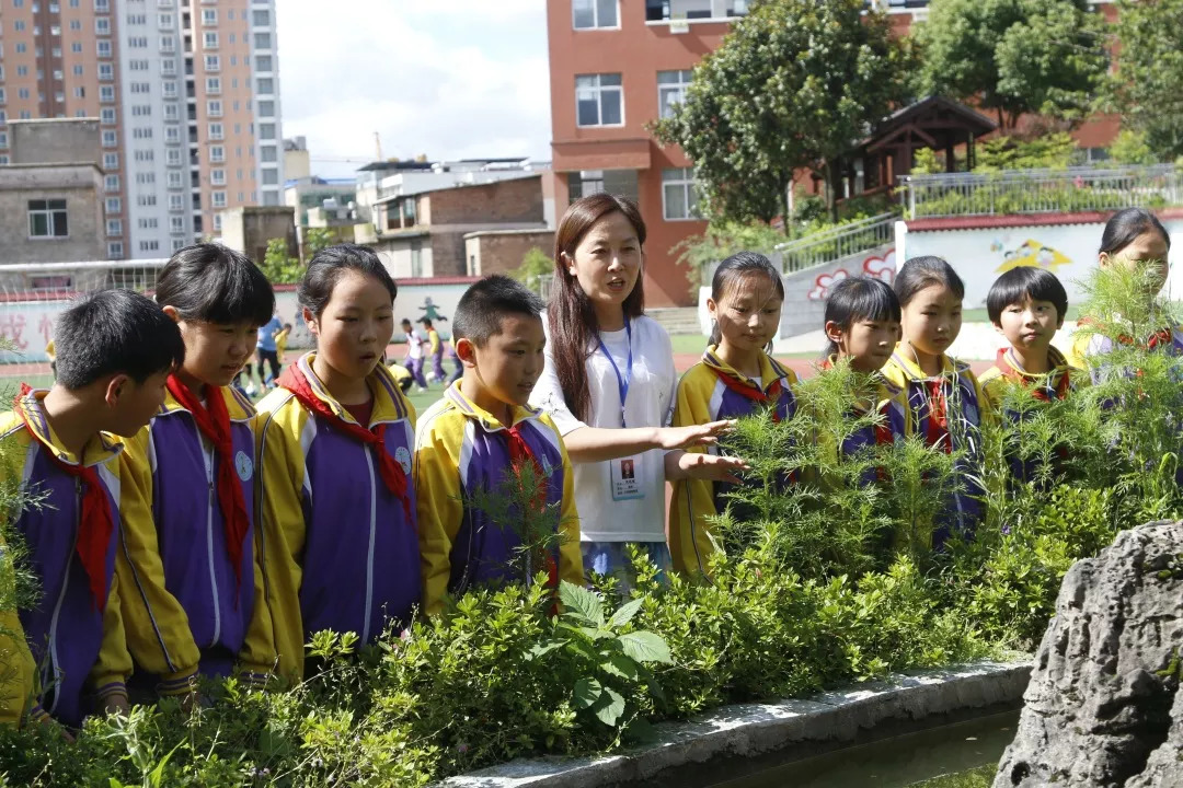 扎佐二小所有学生照片图片