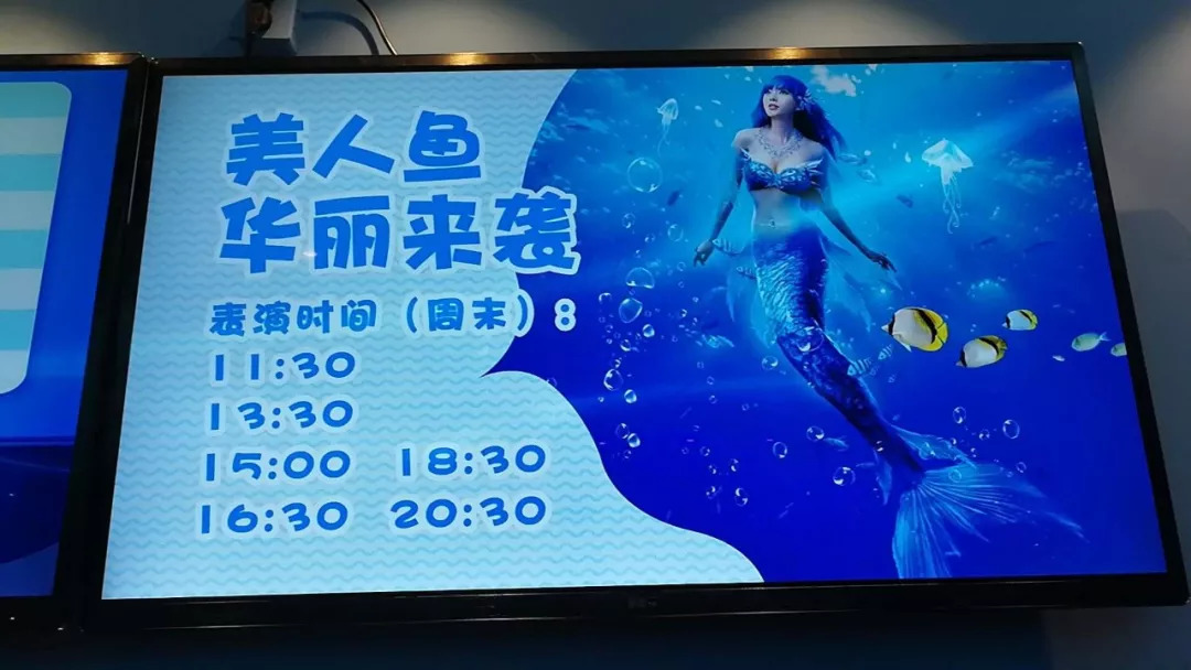 泉州海魔方海洋世界图片